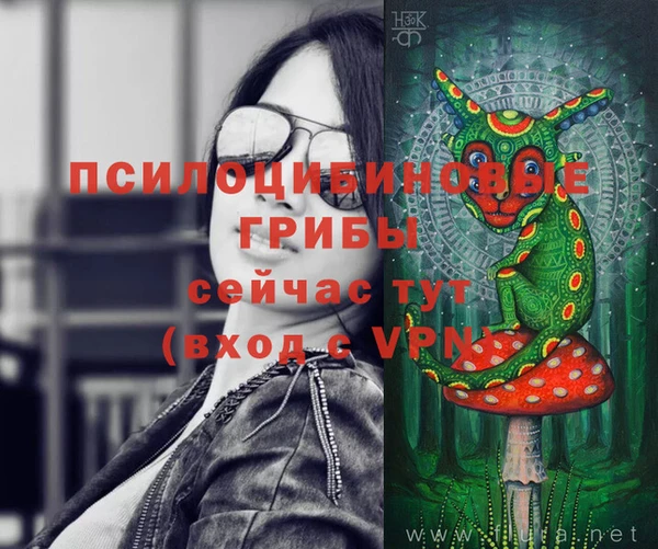 ПСИЛОЦИБИНОВЫЕ ГРИБЫ Алзамай