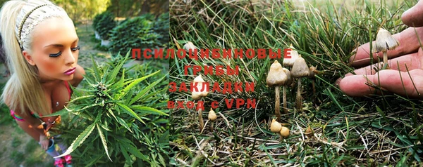 каннабис Абаза