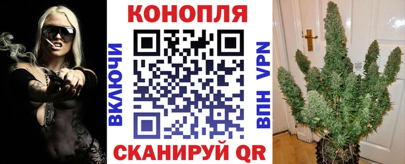 Каннабис план  цена   Полтавская 